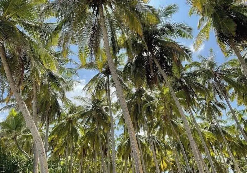 پانسیون Suffix Retreat   Stay, Dive & Explore Fuvahmulah