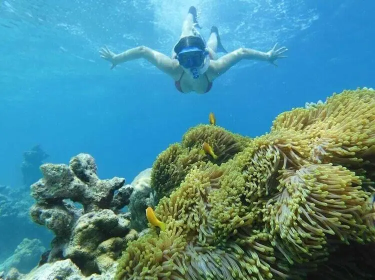 پانسیون Suffix Retreat   Stay, Dive & Explore Fuvahmulah