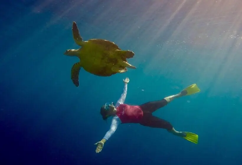 پانسیون Suffix Retreat   Stay, Dive & Explore Fuvahmulah