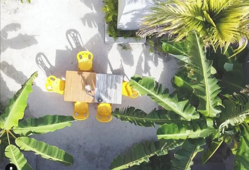 پانسیون Suffix Retreat   Stay, Dive & Explore Fuvahmulah