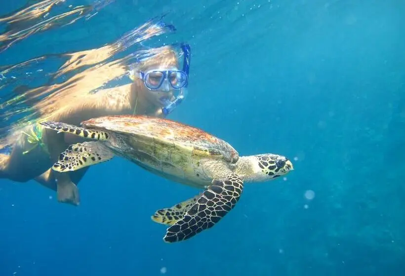 پانسیون Suffix Retreat   Stay, Dive & Explore Fuvahmulah