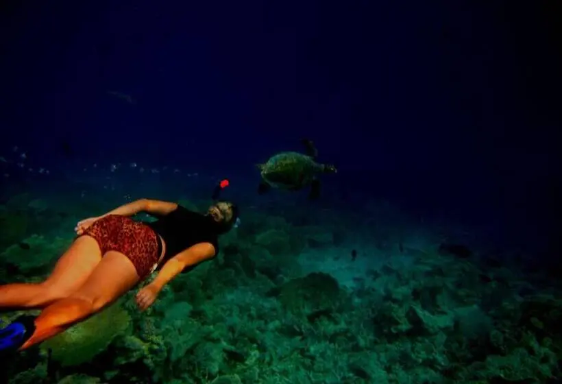 پانسیون Suffix Retreat   Stay, Dive & Explore Fuvahmulah