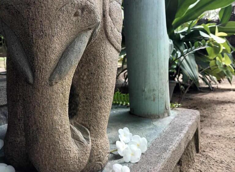 Pensionat The Jungle House