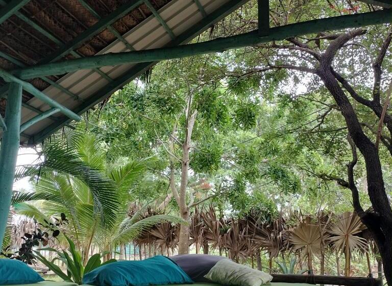 Pensionat The Jungle House