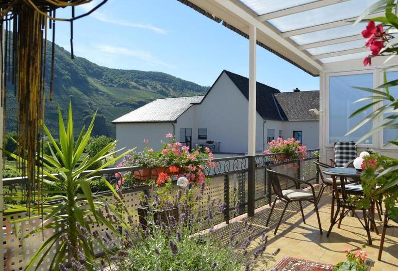 פנסיון Wein & Gästehaus Ballmann