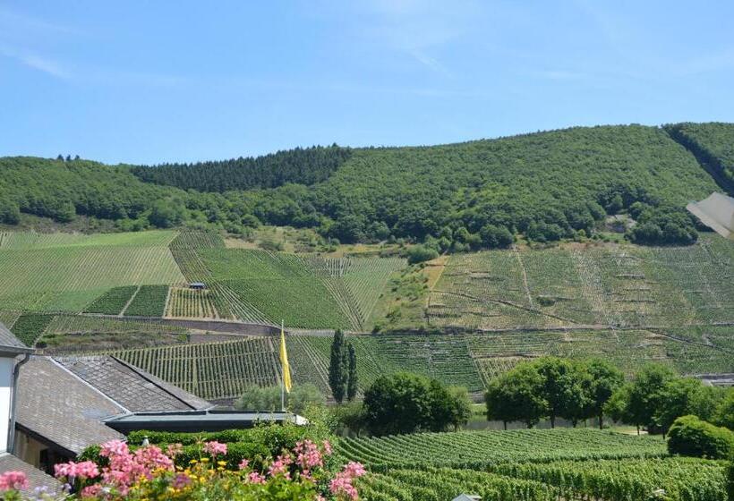 פנסיון Wein & Gästehaus Ballmann