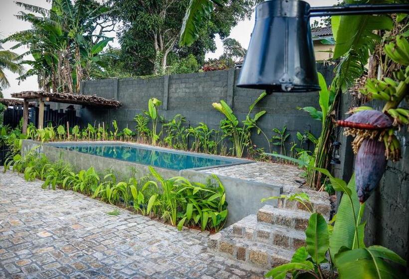 Общежитие Banana Bunks Kandy