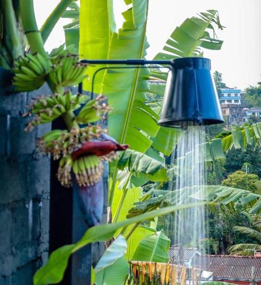 Общежитие Banana Bunks Kandy