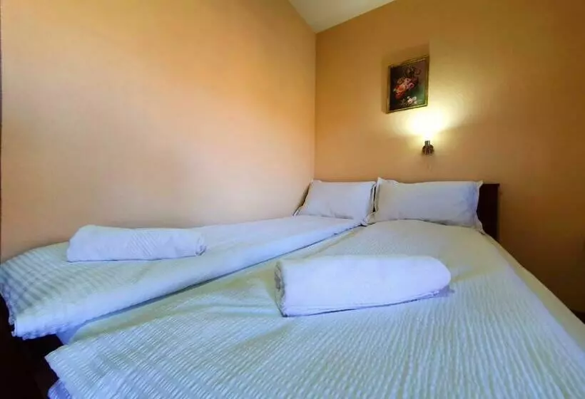 ベッドアンドブレックファースト Virág Panzió