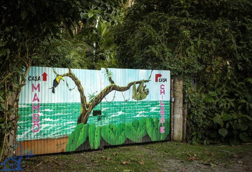 Casa Mambo Pool House