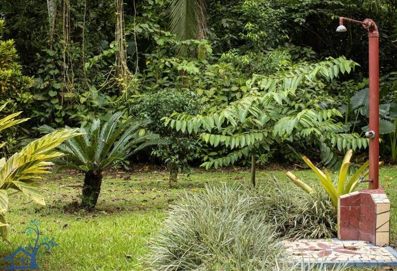 Casa Mambo Pool House