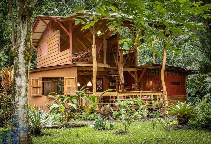 Casa Mambo Pool House