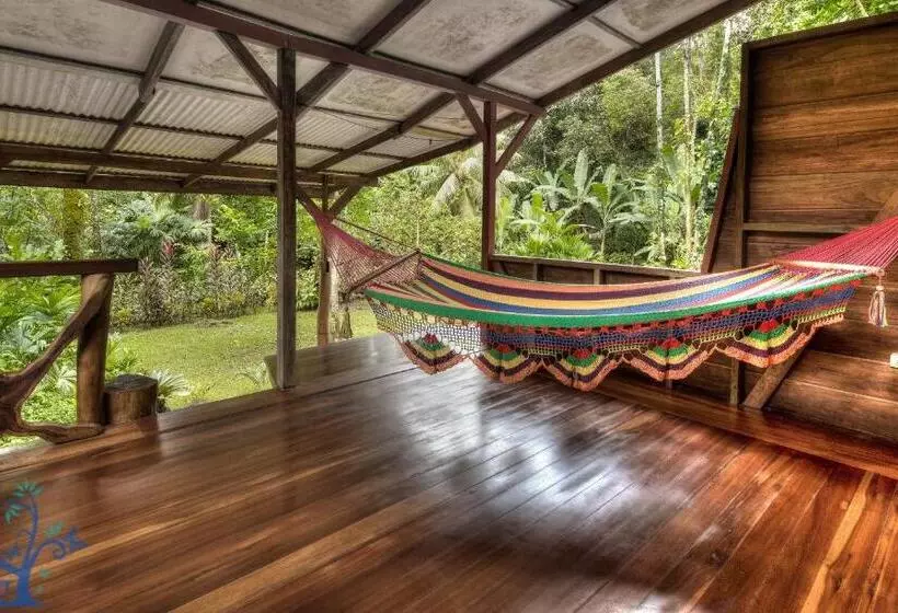 Casa Mambo Pool House