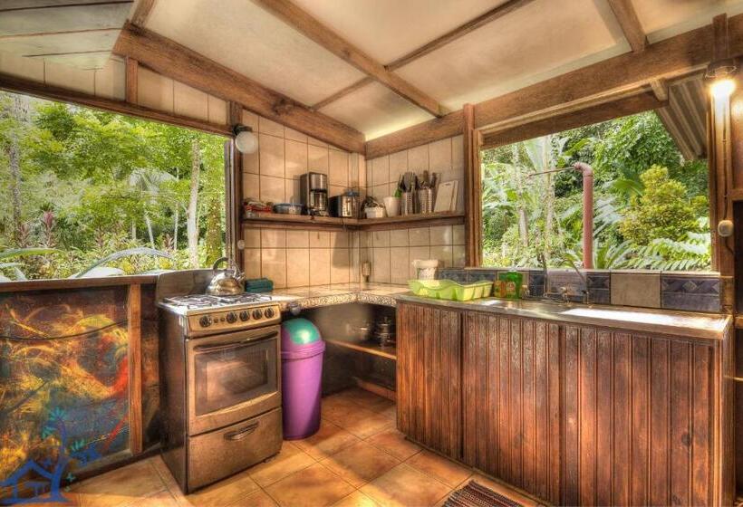 Casa Mambo Pool House