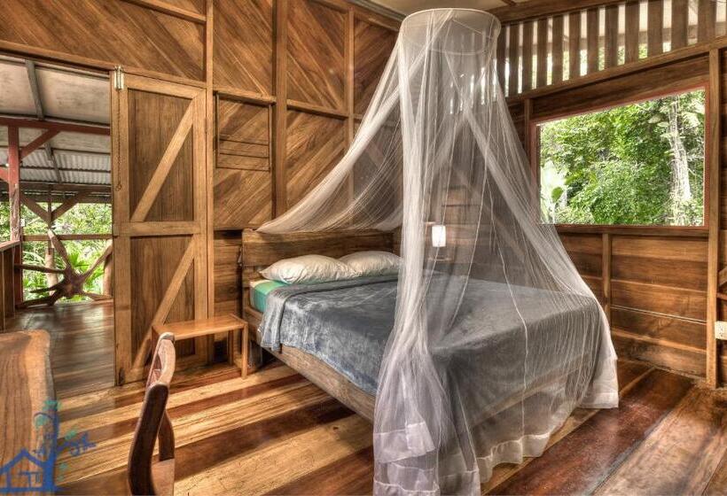 Casa Mambo Pool House