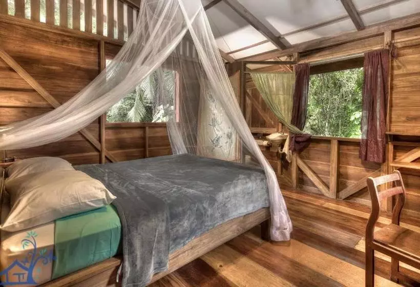 Casa Mambo Pool House