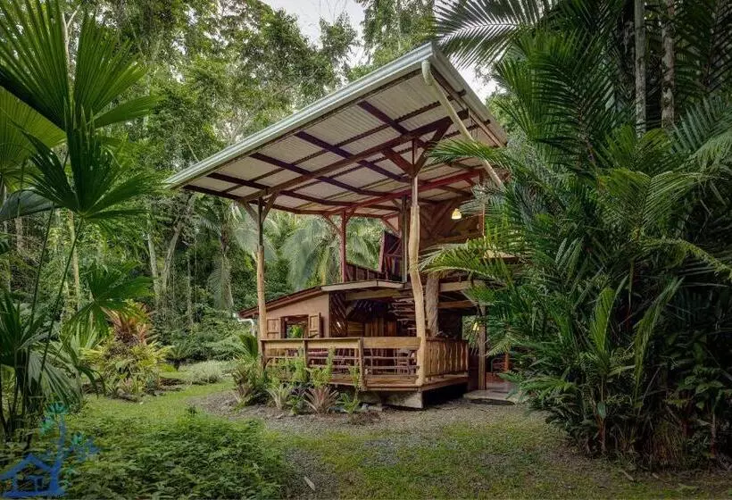 Casa Mambo Pool House
