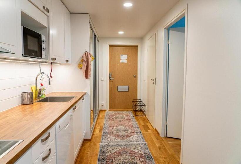 Kaksio Helsingissä Hyvien Kulkuyhteyksien Varrella