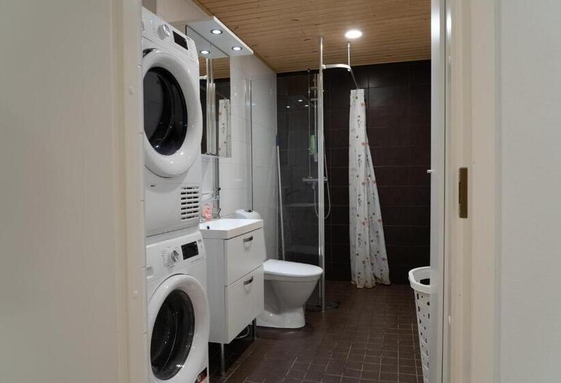 Kaksio Helsingissä Hyvien Kulkuyhteyksien Varrella