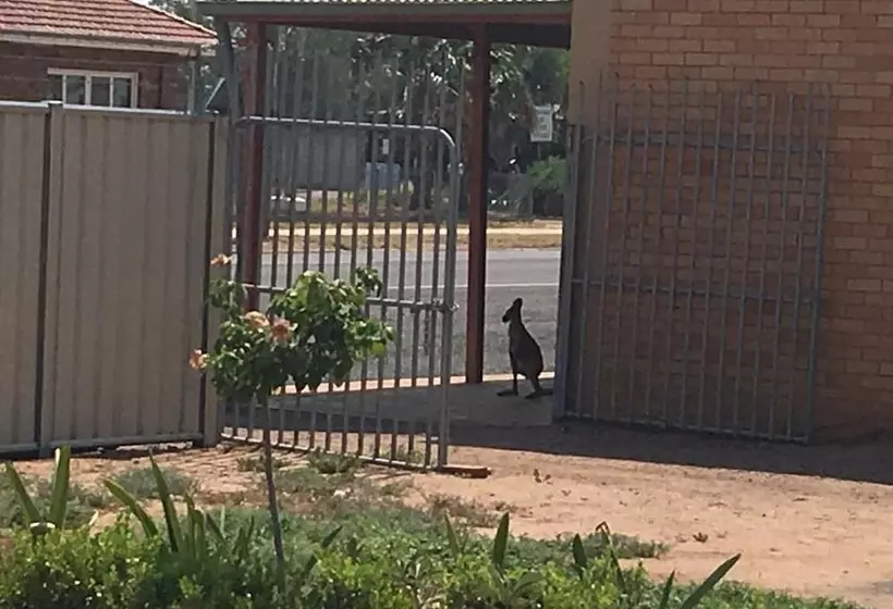 Club Boutique Hotel Cunnamulla
