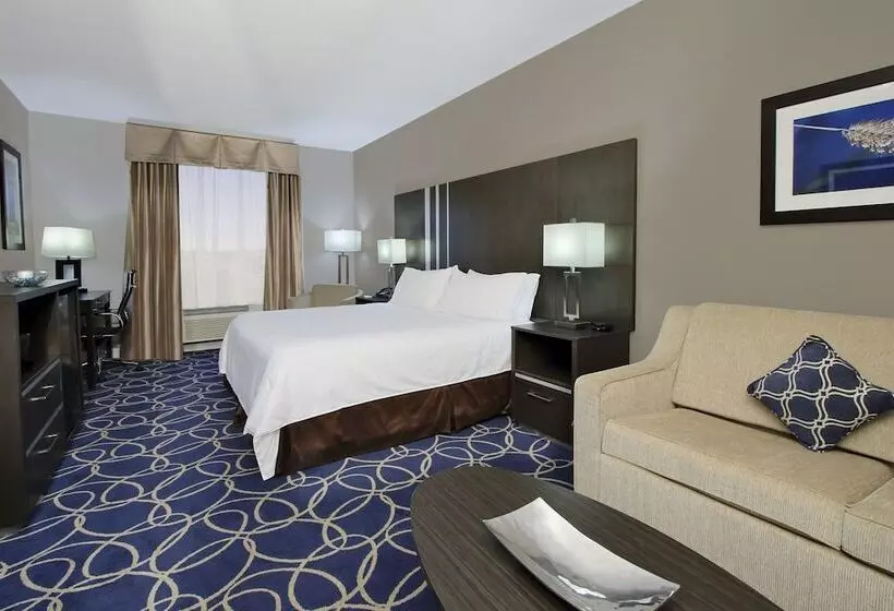 ホテル Holiday Inn Express And Suites Houston North   Iah Area, An Ihg