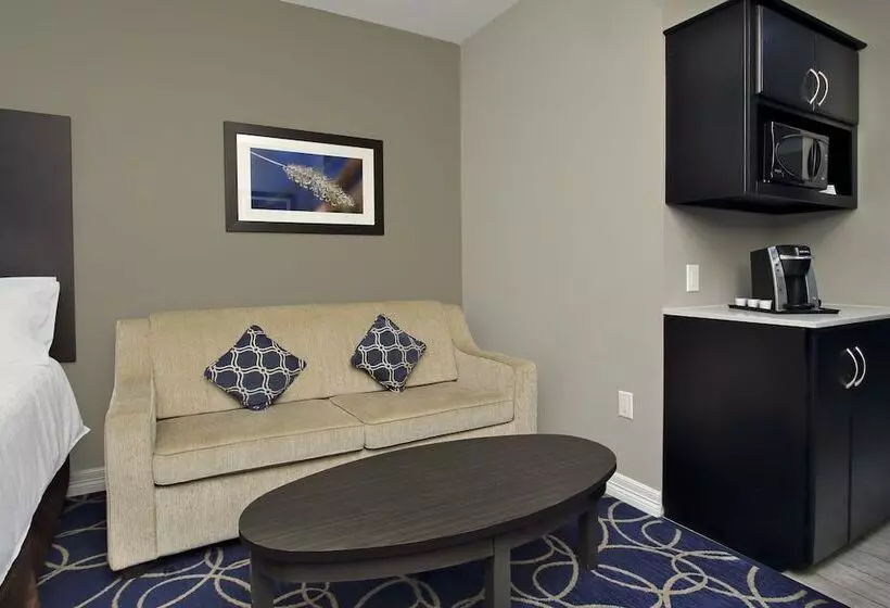 ホテル Holiday Inn Express And Suites Houston North   Iah Area, An Ihg