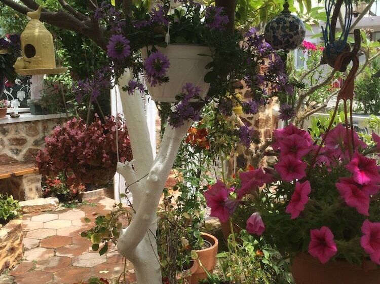 Lemon Villa Hotel Adult Only