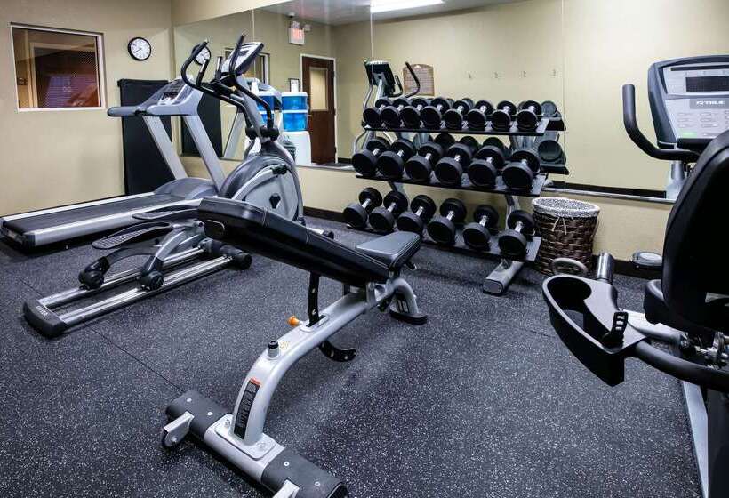 Microtel Inn And Suites Pecos