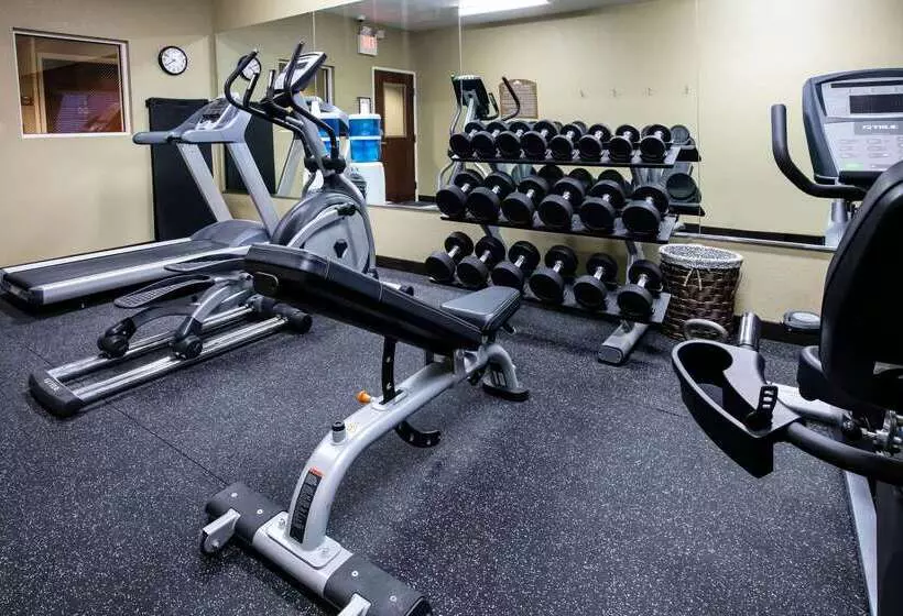 Microtel Inn And Suites Pecos