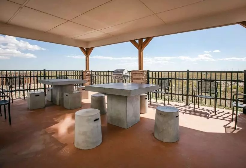 Microtel Inn And Suites Pecos