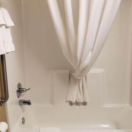 Microtel Inn And Suites Pecos