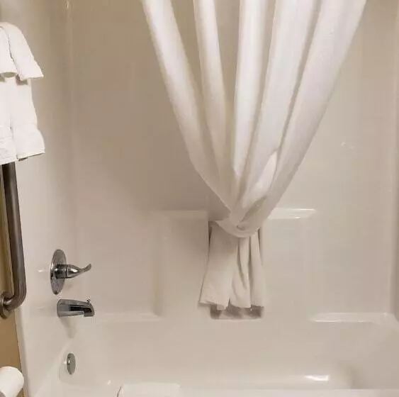 Microtel Inn And Suites Pecos