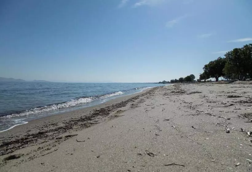 Miros Hotel Apartments