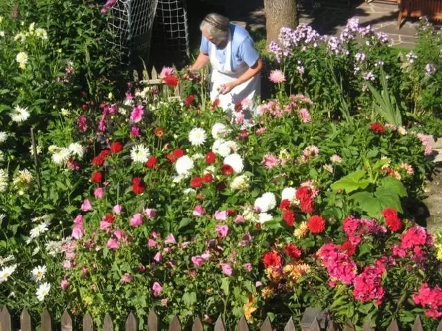 ペンション Gästehaus Leirerhäusl