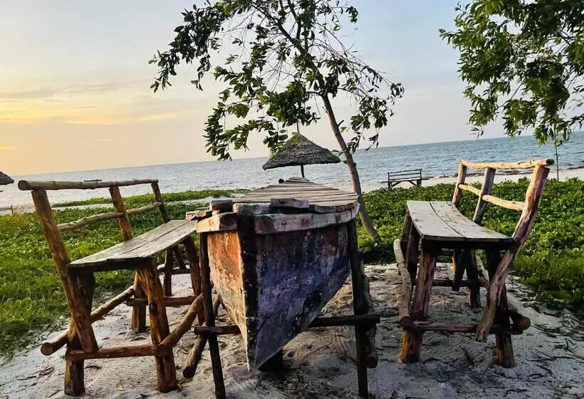 ホテル Maisara Mafia Beach Lodge