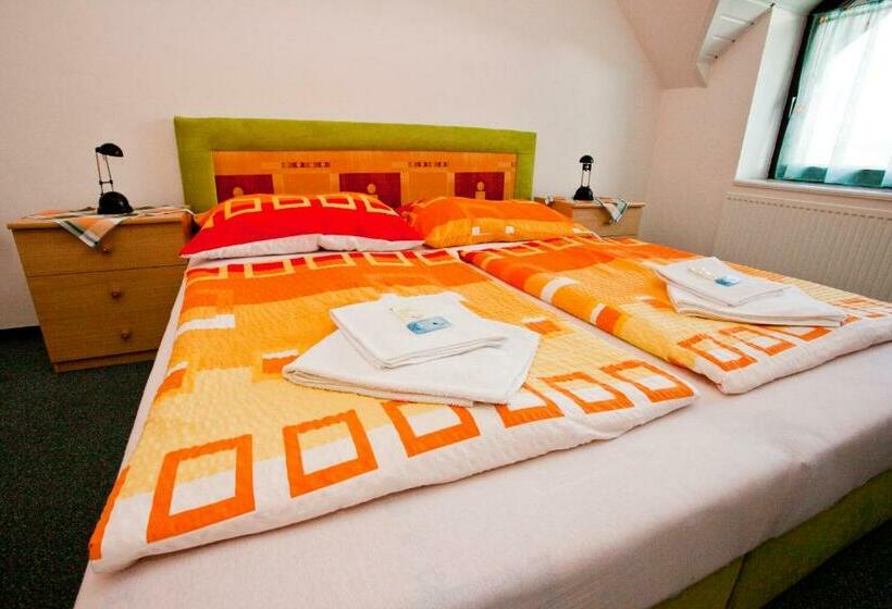 Panzió Penzion Dana