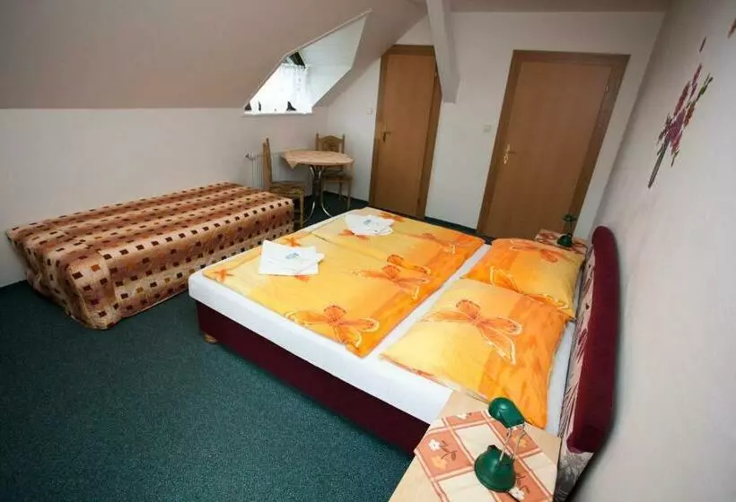 Majatalo Penzion Dana