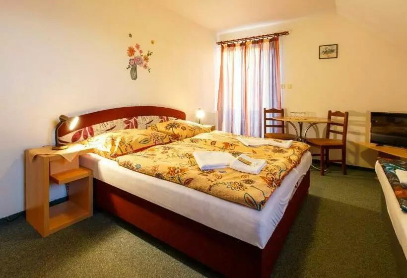 Majatalo Penzion Dana