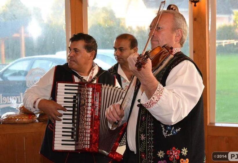 Пансион Penzion Palusak