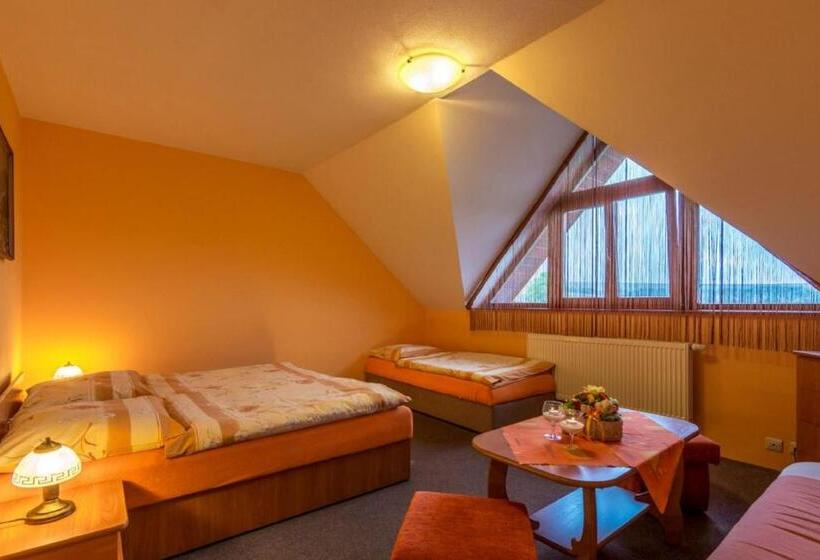 Пансион Penzion Palusak