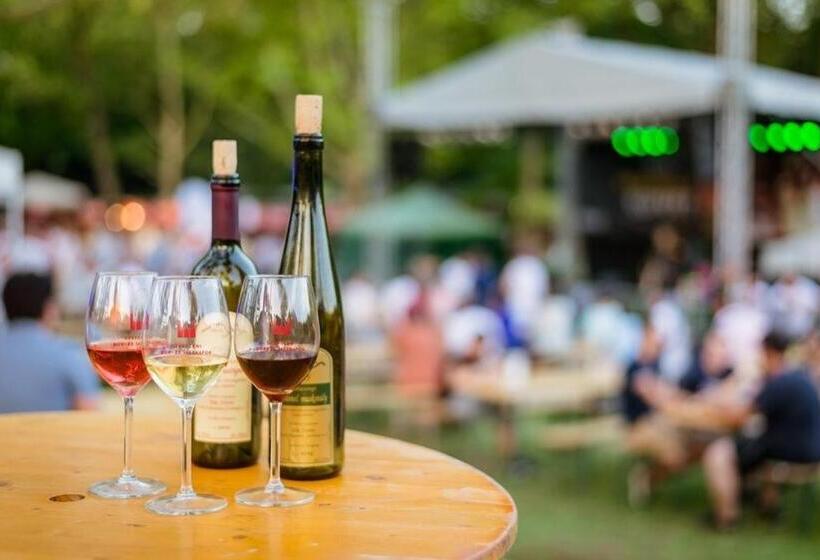 Sára Magánszálláshely Debrecen