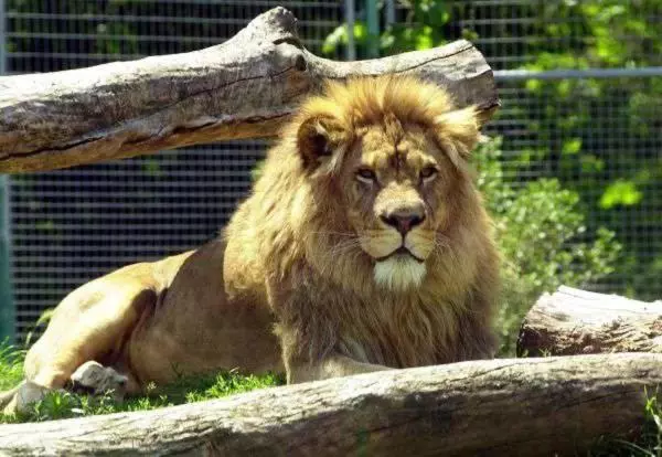 Sára Magánszálláshely Debrecen