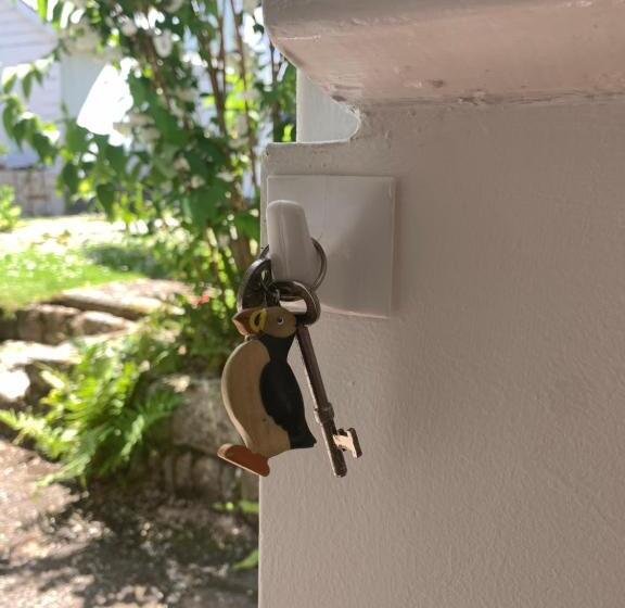 Puffin. Comfortable Annexe Central Falmouth