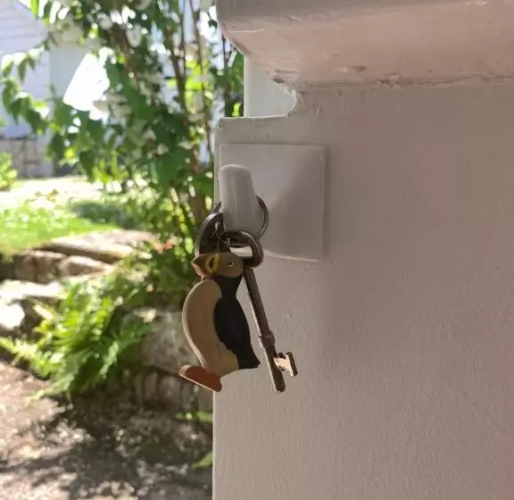 Puffin. Comfortable Annexe Central Falmouth