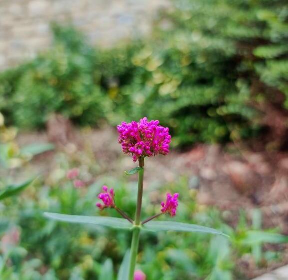 The Silverstone House. Comfort, Convenience And No Hassle At The Doorstep Of Silverstone Race Circui