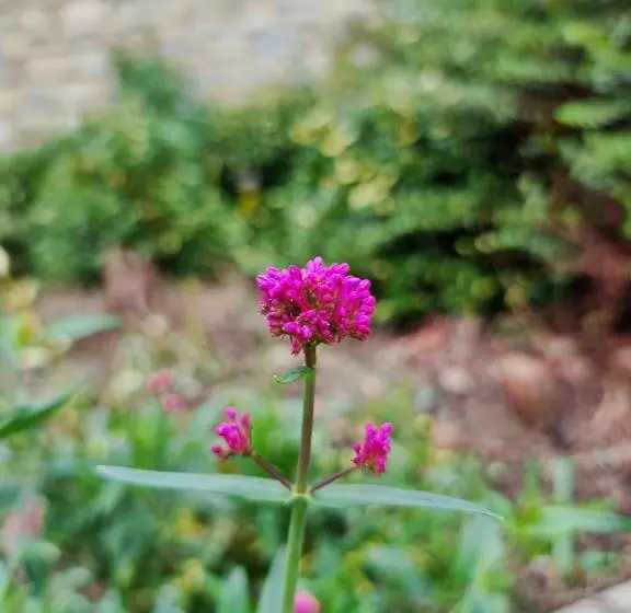 The Silverstone House. Comfort, Convenience And No Hassle At The Doorstep Of Silverstone Race Circui