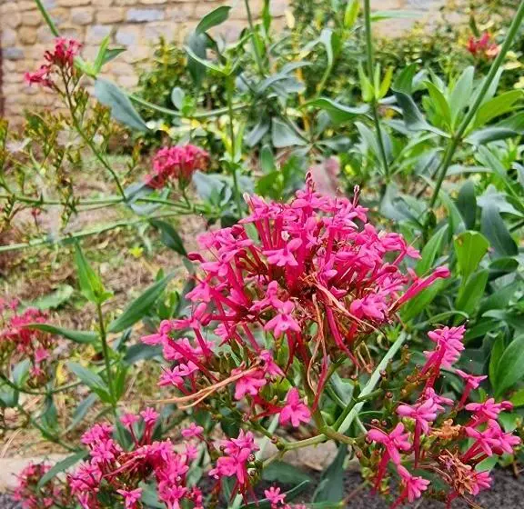 The Silverstone House. Comfort, Convenience And No Hassle At The Doorstep Of Silverstone Race Circui