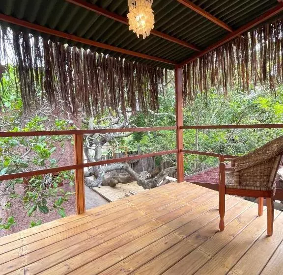 Vulva Caraíva Hostel E Pousada Para Mulheres