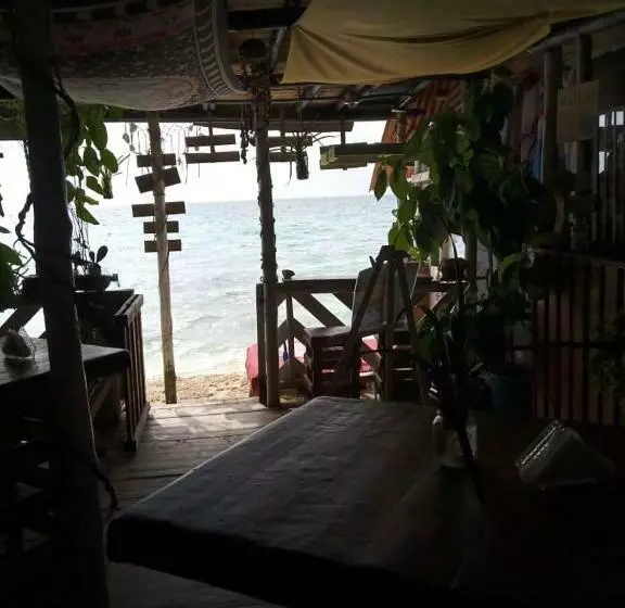 هاستل Despertarte Espacio De Arte Y Hospedaje