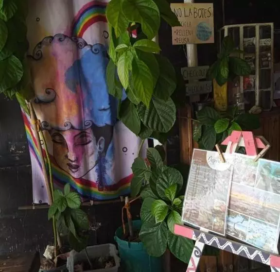 هاستل Despertarte Espacio De Arte Y Hospedaje